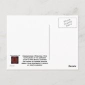 Paradise Briefkaart (Achterkant)