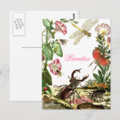Paradise Briefkaart (Voorkant / Achterkant)