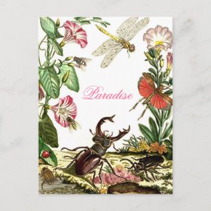 Paradise Briefkaart