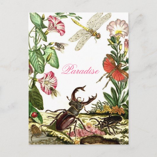 Paradise Briefkaart (Voorkant)