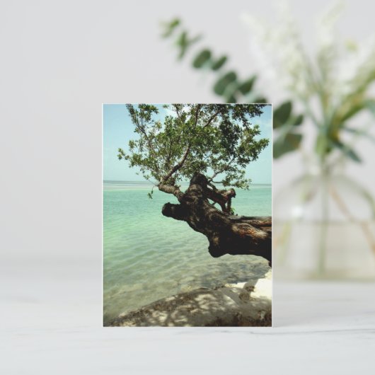 Paradise Briefkaart (Staand voorkant)