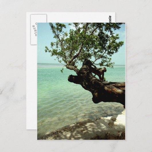 Paradise Briefkaart (Voorkant / Achterkant)