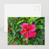 PARADISE-BRIEFKAART BRIEFKAART (Voorkant / Achterkant)