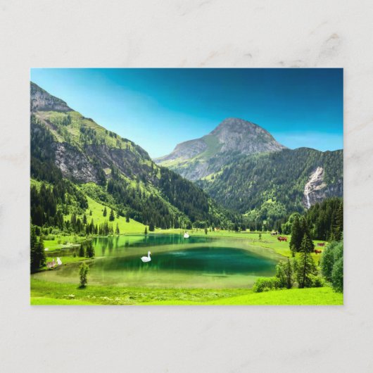 Paradise Cove Briefkaart (Voorkant)