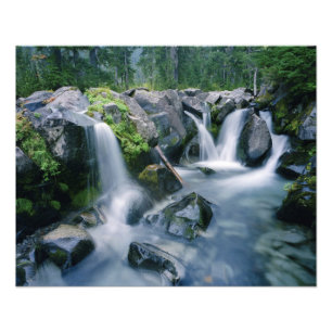 Paradise Creek stroomt langs de hellingen van de M Foto Afdruk