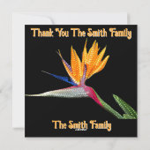 Paradise Dancer B Holiday Card Feestdagenkaart (Achterkant)