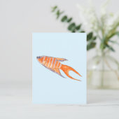 Paradise Fish, Waterverf. Briefkaart (Staand voorkant)