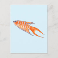 Paradise Fish, Waterverf.