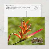 Paradise Flower Briefkaart (Voorkant / Achterkant)