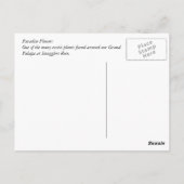 Paradise Flower Briefkaart (Achterkant)