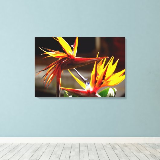 Paradise Flower from Mexico Canvas Afdruk (Insitu (Houten vloer))