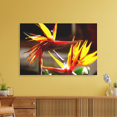 Paradise Flower from Mexico Canvas Afdruk (Insitu (Woonkamer))