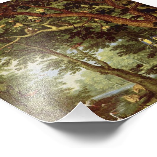 Paradise Foto Afdruk (Hoek)