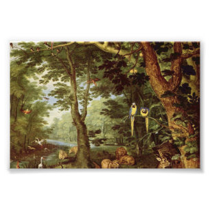 Paradise Foto Afdruk