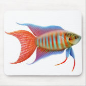 Paradise Gourami Fish Mousepad Muismat (Voorkant)