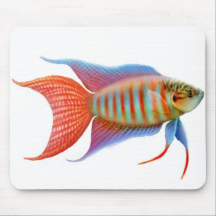 Paradise Gourami Fish Mousepad Muismat