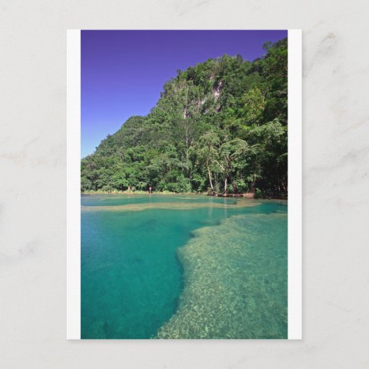 Paradise groene lagune Semuc Champey Guatemala Briefkaart (Voorkant)