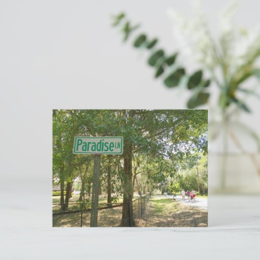 Paradise Lane Florida Briefkaart (Staand voorkant)