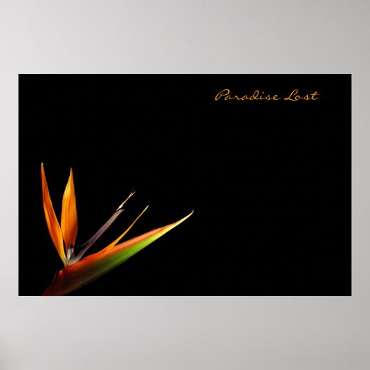 Paradise Lost Poster (Voorkant)