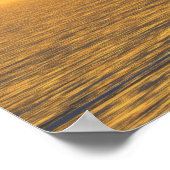 Paradise: min hovercraft poster (Hoek)