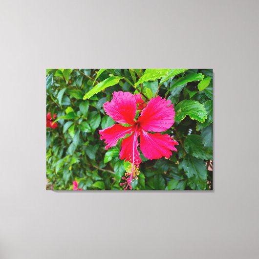 PARADISE MORNING CANVAS AFDRUK (Voorkant)