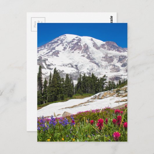 Paradise Mt. Rainer Briefkaart (Voorkant / Achterkant)