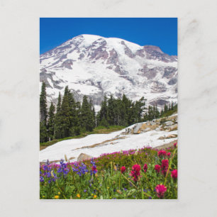 Paradise Mt. Rainer Briefkaart