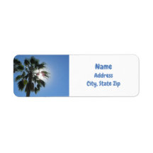 Paradise palmboom Tropical Sunshine Island