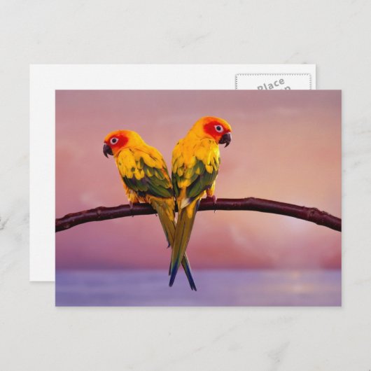 Paradise Parrots Briefkaart (Voorkant / Achterkant)