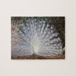 Paradise Peacock Legpuzzel