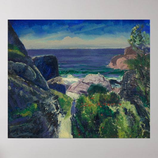 Paradise Point van George Bellows (1919) Poster (Voorkant)