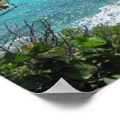 Paradise Poster (Hoek)