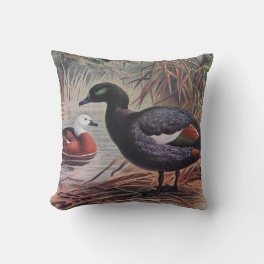 paradise Shelduck personaliseren Kussen (Voorkant)