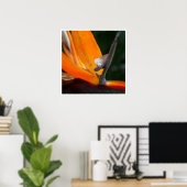 Paradise-up close poster (Thuiskantoor)