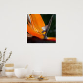 Paradise-up close poster (Keuken)