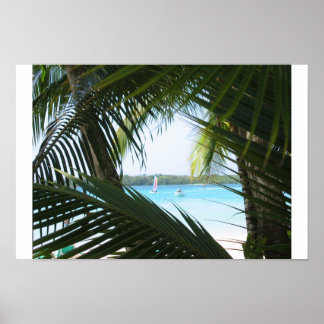 Paradise-venster Poster