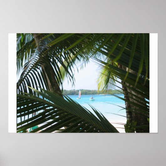 Paradise-venster Poster (Voorkant)