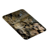 Paradise-verlies bij drapery-vorming, oregon-grott magneet (Rechterzijde)