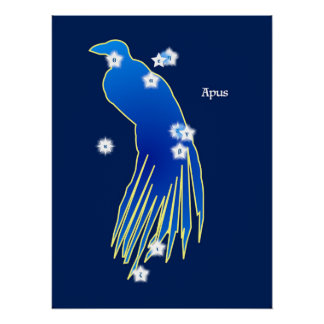 Paradisier Perfect Poster