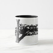 Parafiniteitsstructuur Mok (Midden)