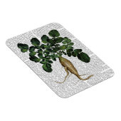 Paragraaf 1 magneet (Rechterzijde)