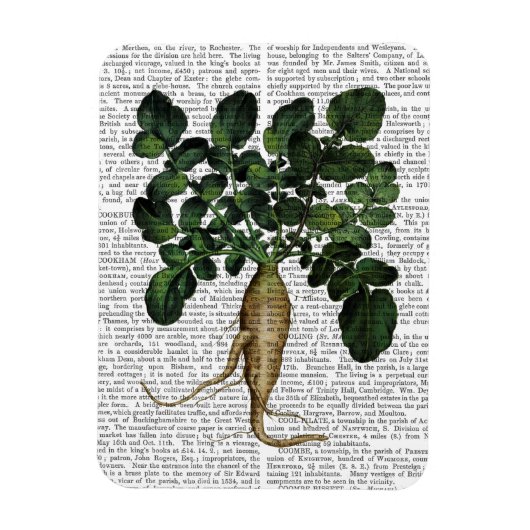 Paragraaf 1 magneet (Verticaal)