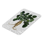 Paragraaf 1 magneet (Linkerzijde)