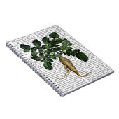 Paragraaf 1 notitieboek (Rechterzijde)