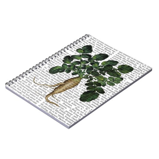 Paragraaf 1 notitieboek (Linkerzijde)