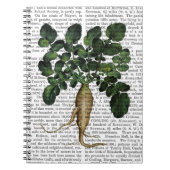 Paragraaf 1 notitieboek (Voorkant)