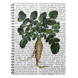 Paragraaf 1 notitieboek