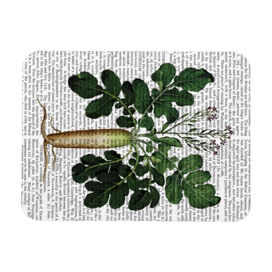 Paragraaf 3 magneet (Horizontaal)