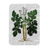 Paragraaf 3 magneet (Verticaal)