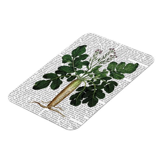 Paragraaf 3 magneet (Linkerzijde)